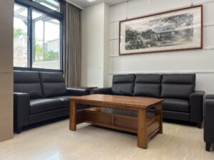 【台中訂製沙發】北屯高背半牛皮沙發整組訂製